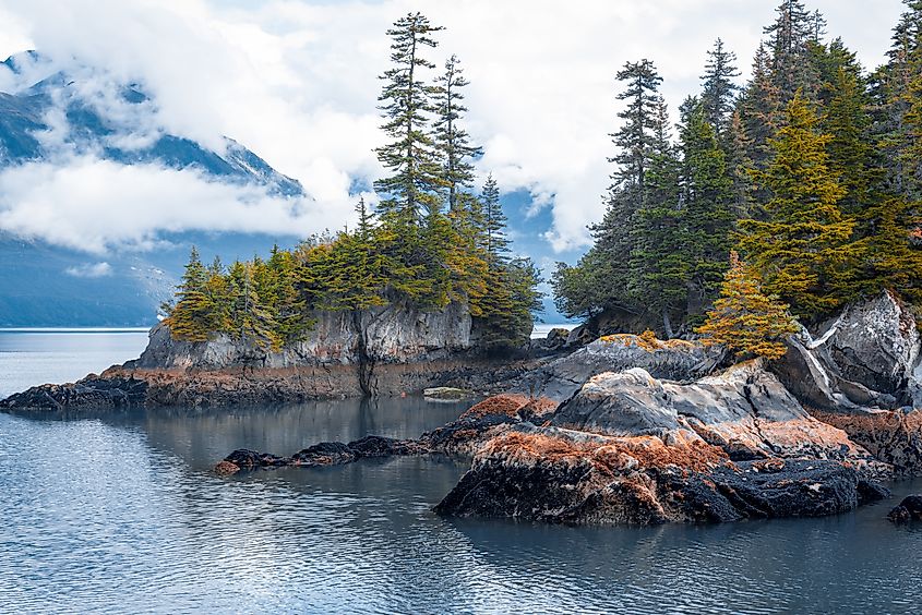 View of island from Kenai Fjords National Park Cruise tour in Alaska.