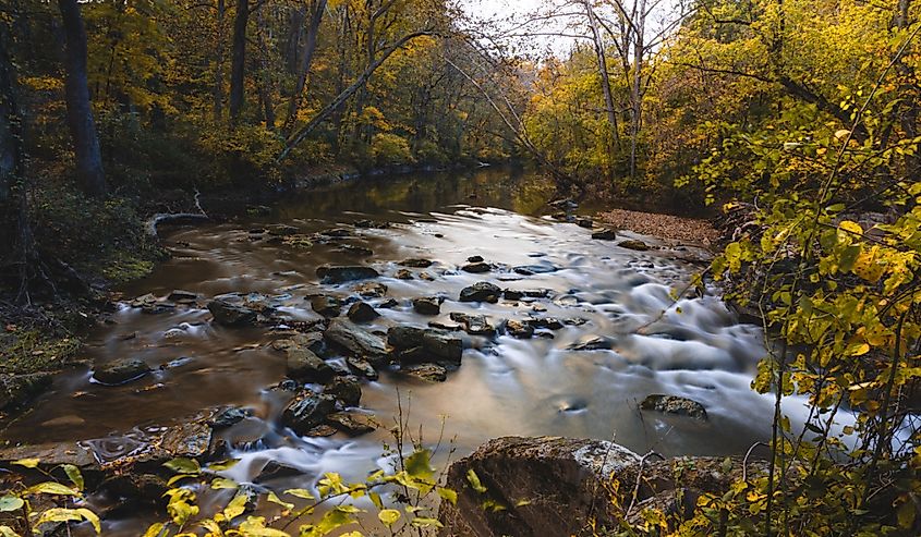 A scenic view of a river flowing in the forest in White Clay Creek State Park, Newark, Delaware