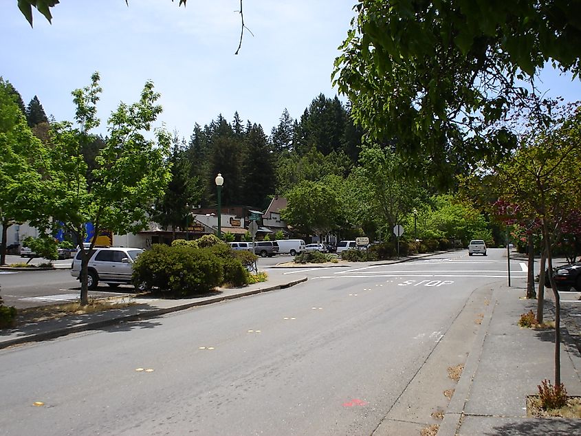 Scenic street in Occidental, California