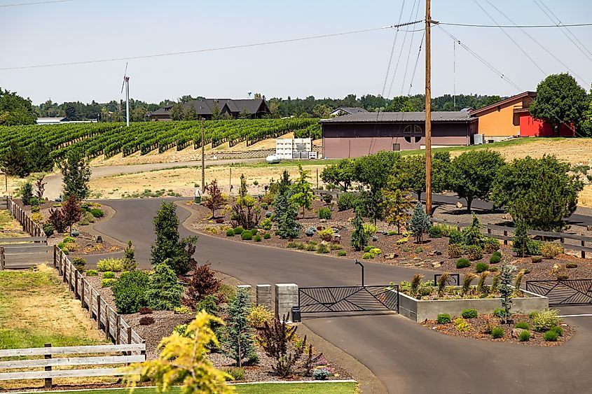 Wine country in Walla Walla, Washington