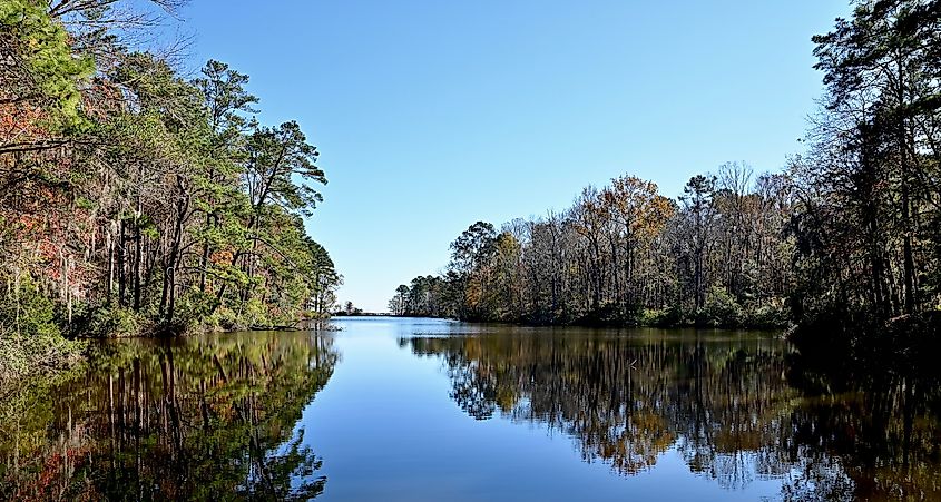 View of Lake Marion in South Carolina.