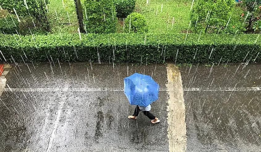 Person walking with an umbrella in the pouring rain in Banten, Indonesia