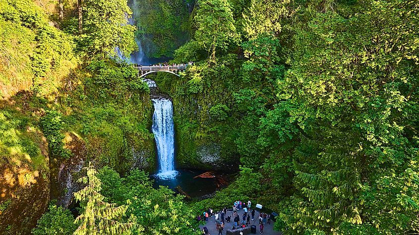 Aerial View of Multnomah Falls with Stone Bridge and Tourists.