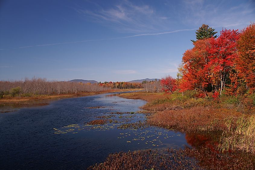 Nature in Lake Pleasant, New York.