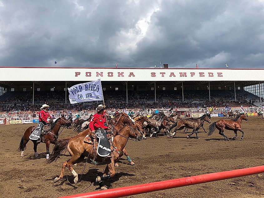 Ponoka Stampede.