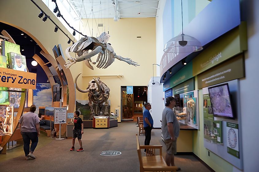 The Florida Museum of Natural History in Gainesville, Florida.