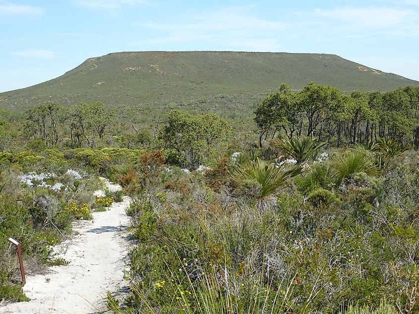 Mount Lesueur from near the start of the walking track