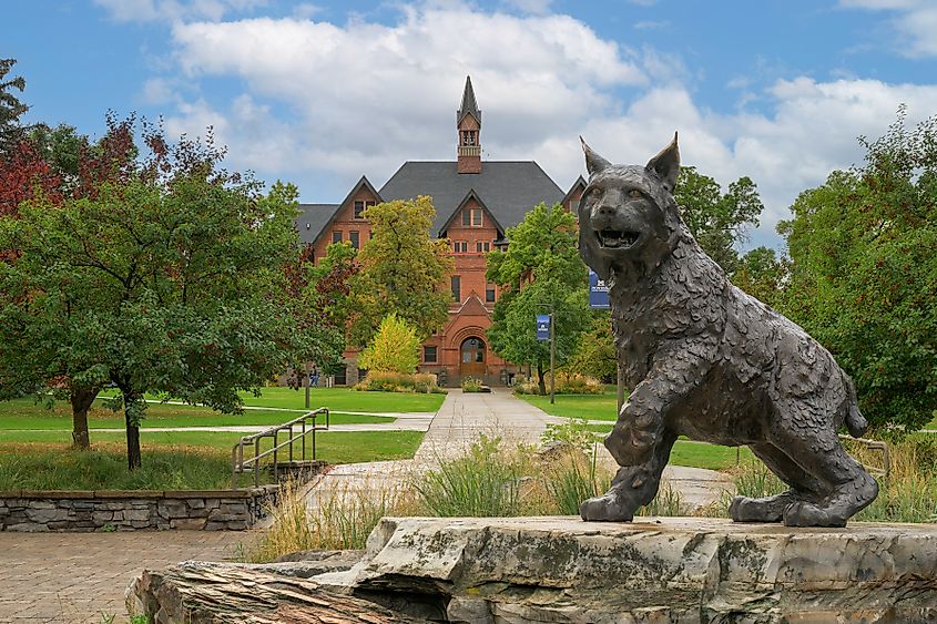 Montana State University in Bozeman, Montana