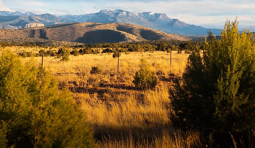 Gila National Forest mountains in the sunset.