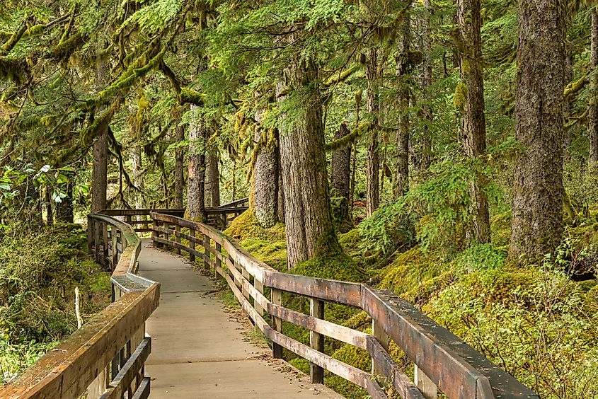 Glacier Bay National Park near Gustavus in Alaska.