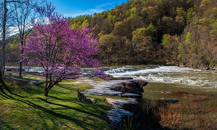 Valley Falls State Park near Fairmont, West Virginia.