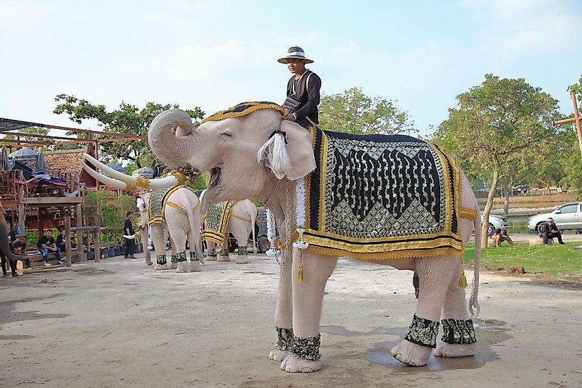 Which Country Is Known As The Land Of White Elephants WorldAtlas