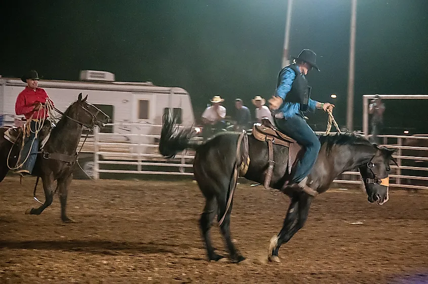 At the Cochise County Fairgrounds in Douglas, Arizona.