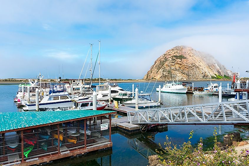 Morro Bay Marina in California.