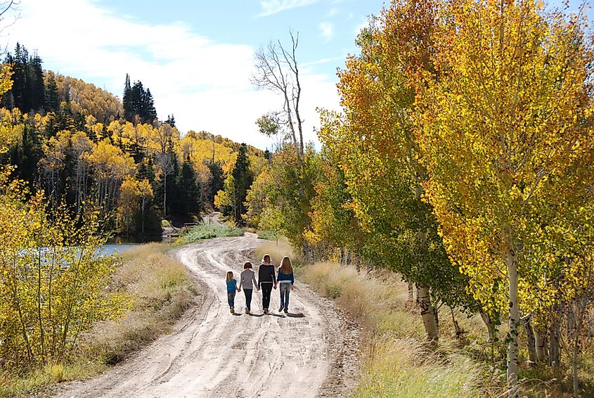 Four sisters walking hand in hand along a path lined with autumn trees near a lake in Ephraim, Utah