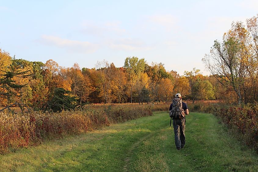 Taking a Hike around Sugar Bottom in North Liberty. 