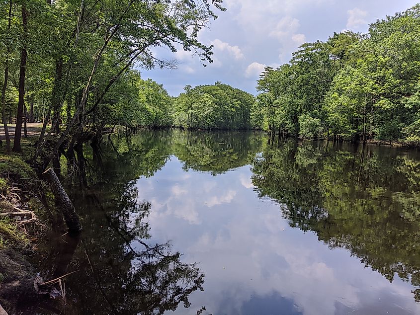 Black River, North Carolina.