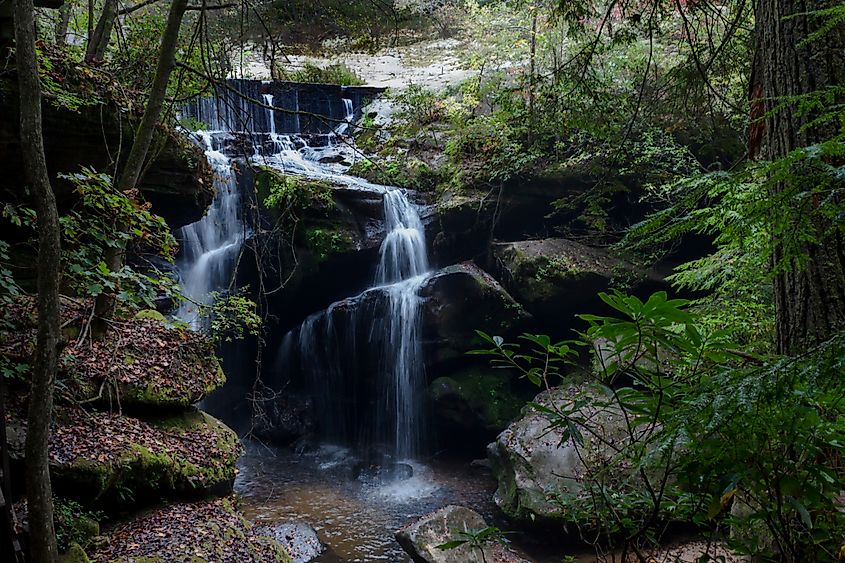 Waterfall in Dismals Canyon, Alabama.