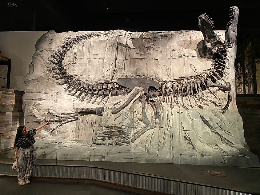 A small Asian woman stands next to the complete skeleton of a massive T-rex