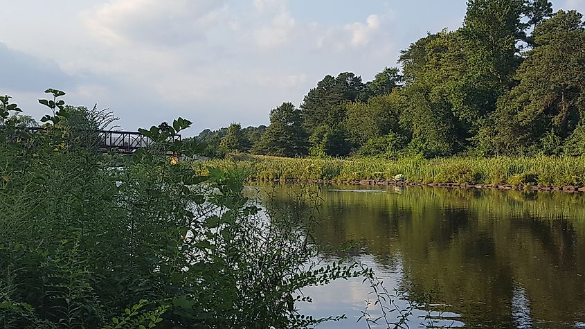 Scenic outdoor view of a river in Federalsburg, Maryland.