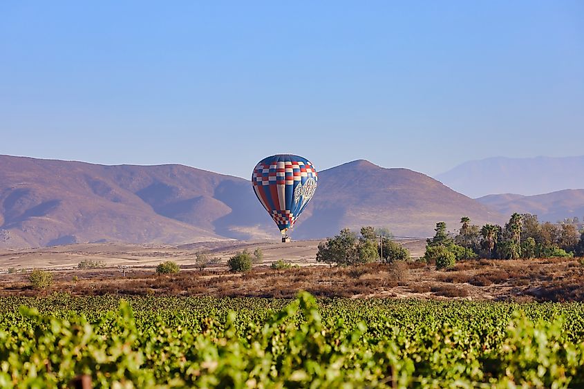 Hot air balloon in Temecula, California.