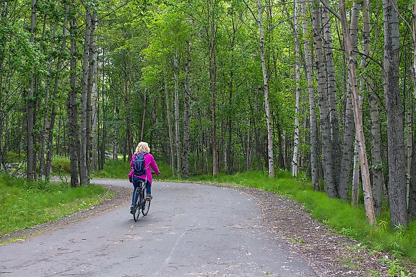 Tony Knowles Coastal Trail in Anchorage Alaska