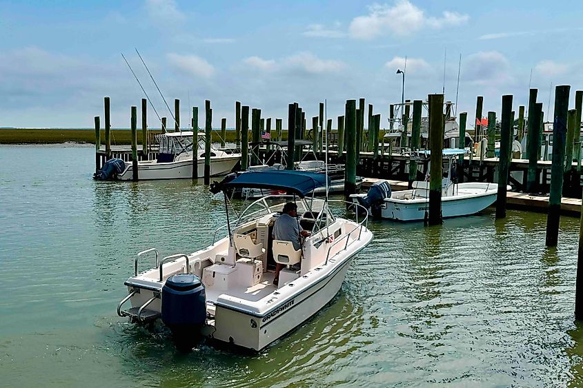 Wachapreague marina Image credit Bryan Dearsley