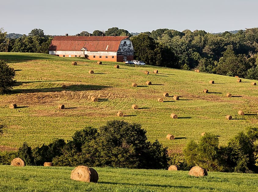 Sunset view of a North Carolina farm with hayrolls in the Piedmont Town of Morganton.
