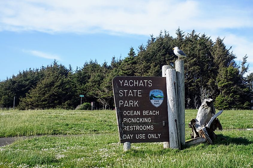 A seagull resting atop a Yachats State Park visitor sign, in Yachats, Oregon, United States. Editorial credit: christopher babcock / Shutterstock.com