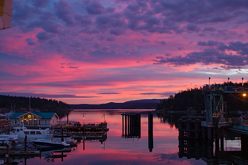 Early morning sunrise Friday Harbor, WA, USA.