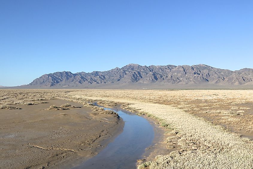 Fish Springs National Wildlife Refuge, Utah.