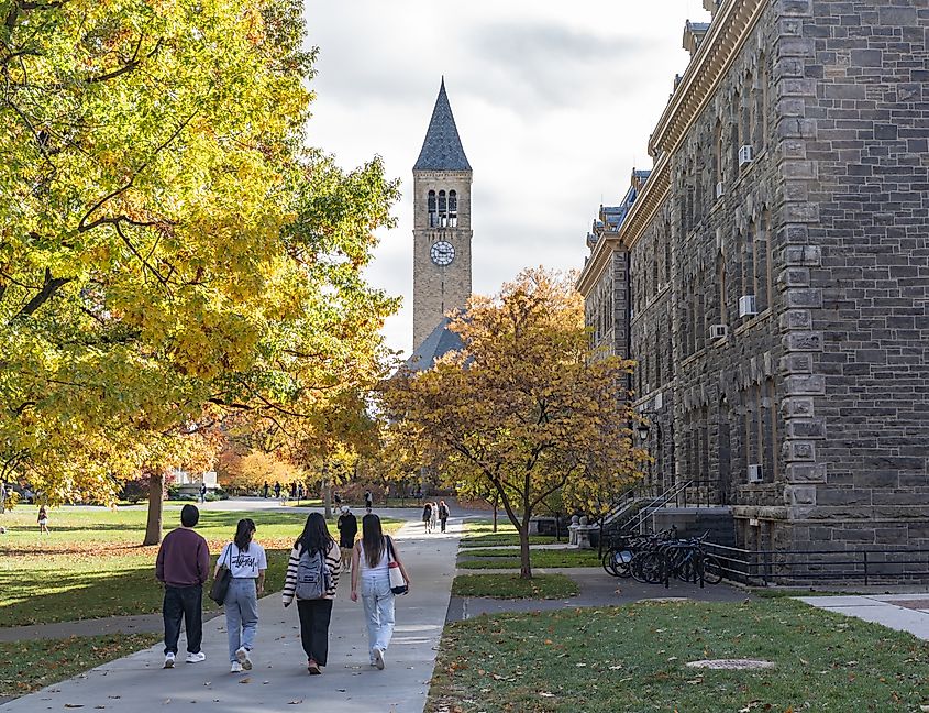 Students walking on Cornell University Campus with McGraw Clock Tower in background.