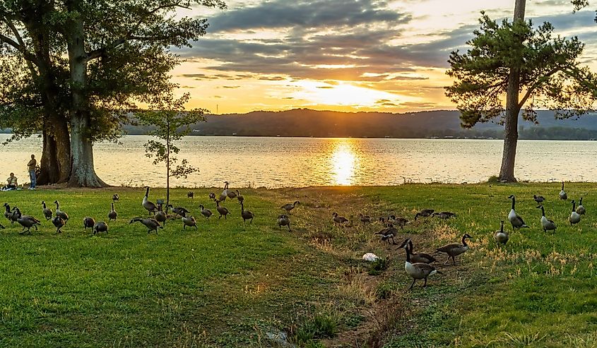 Lake Guntersville at Sunset in Guntersville, Alabama