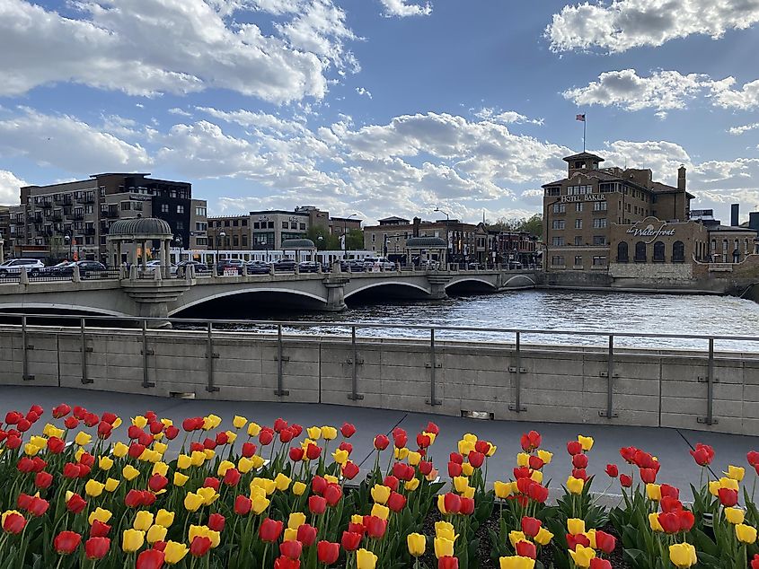 A bed of red and yellow tulips in the foreground of a cute riverside town