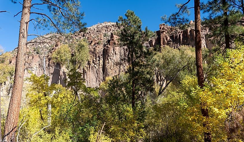 Bandelier National Monument, New Mexico. Frijoles Canyon with golden Cottonwood trees in the autumn.