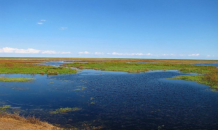 Lake Okeechobee