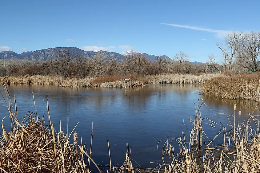 Winter wetland at Fountain Creek Regional Park, Fountain, Colorado.