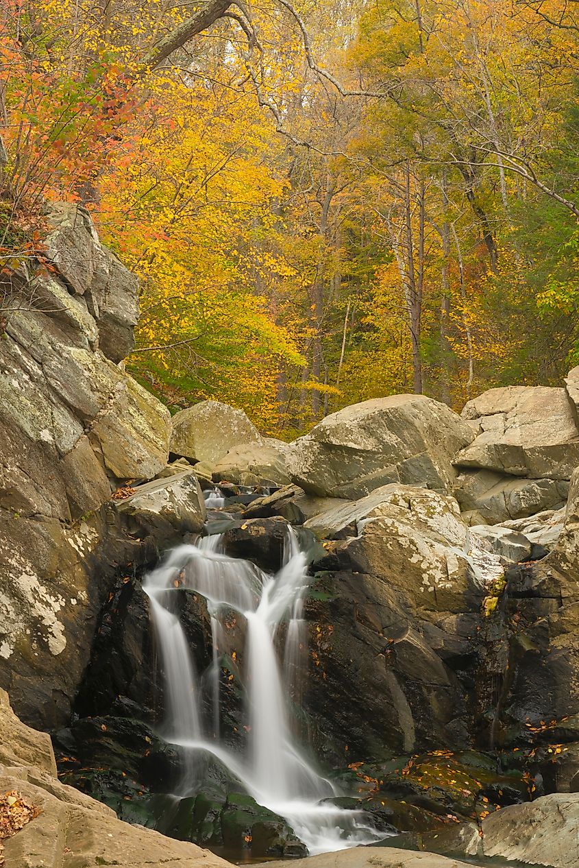 Scotts Run Falls in Fairfax County Park, Virginia.