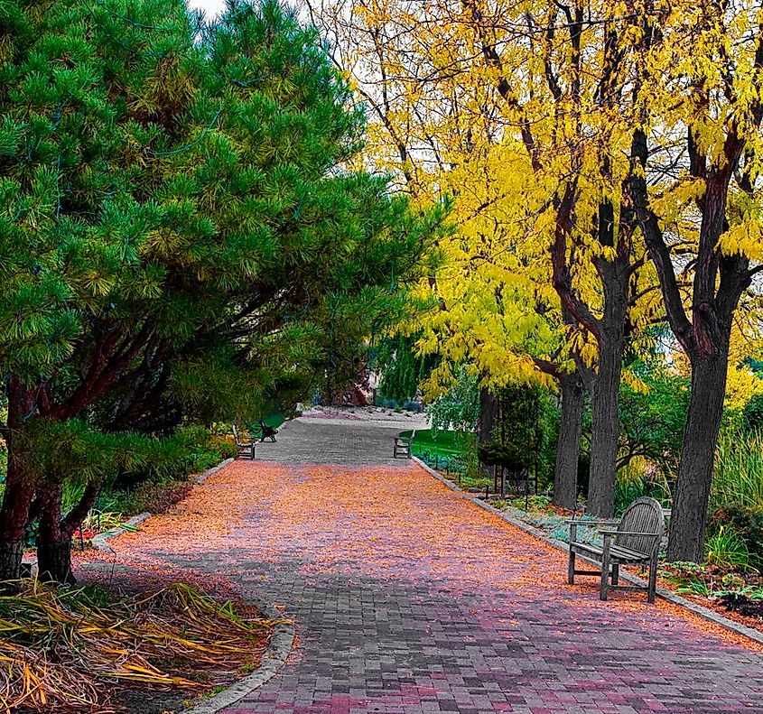 A park bench at the Idaho Botanical Garden with leaves gently falling around it