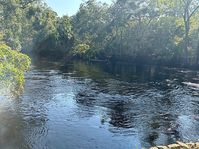 Steinechee River view. Image credit Jason Phillips.