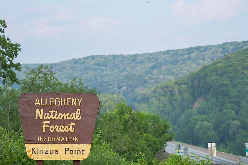 Allegheny national forest state park Pa, summer tourist destination, copy space, vacation summer day