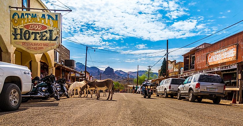 Panoramic view of Oatman, a historic ghost town in Arizona and its burros