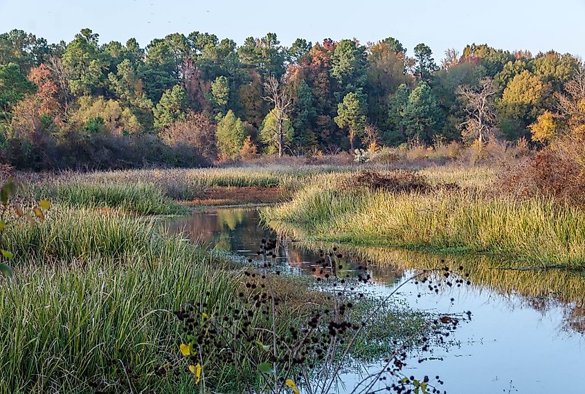 Bayou Bartholomew, Arkansas