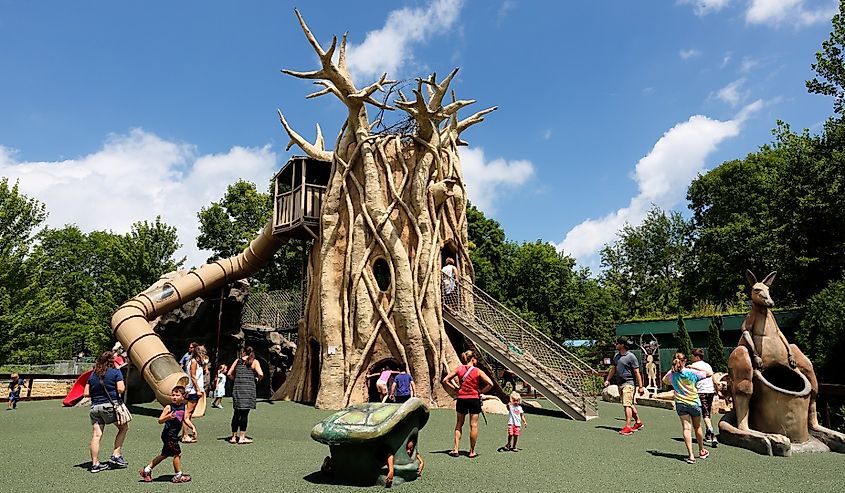 The playground of Henry Vilas Zoo at Madison.