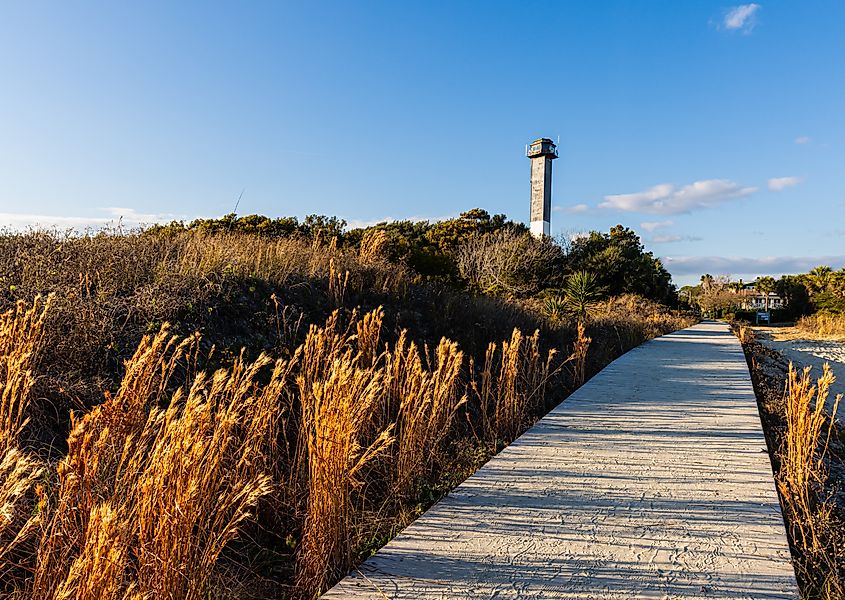 Sand dunes at Station 18 Beach with the Sullivan's Island Lighthouse in the background on Sullivan's Island, South Carolina