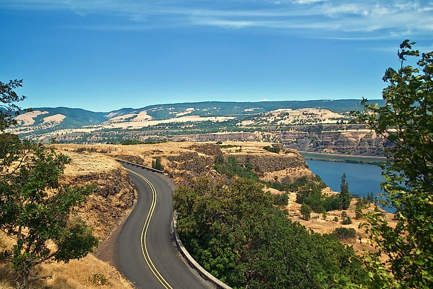 A road leading up to Rowena Crest Viewpoint along the Columbia River Gorge near Portland, Oregon.