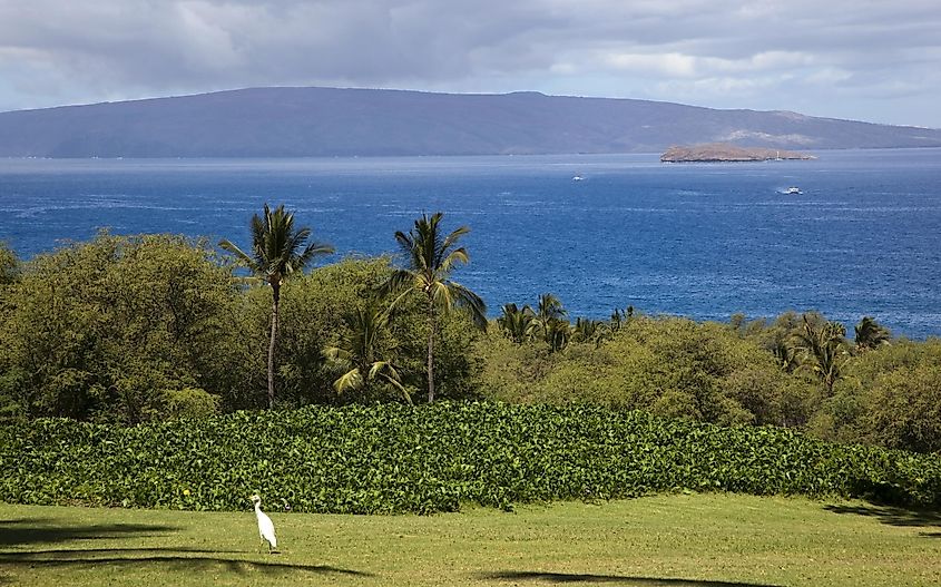 View of Molokini and Lanai from Wailea on Maui, Hawaii