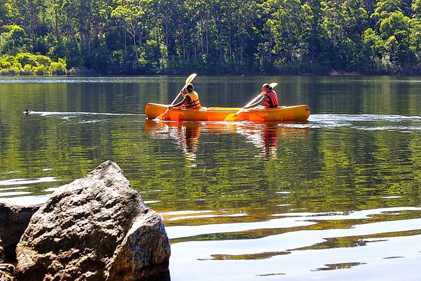 People canoeing in a lake in Pemberton, Western Australia