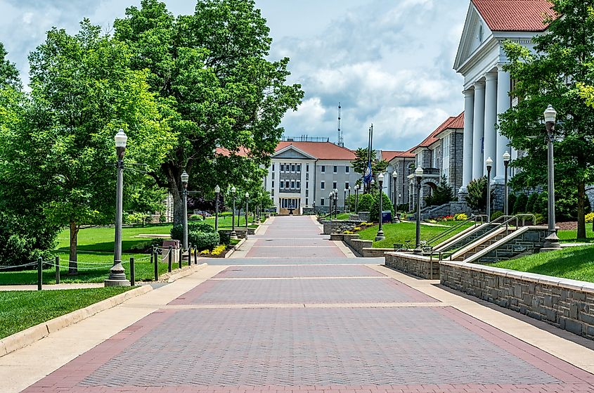 Lush foliage along the pathway to James Madison University in Harrisonburg, Virginia.