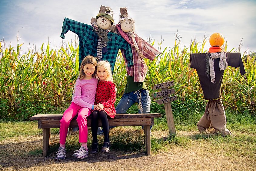 The girls at the Long & Scott Farms Corn Maze Adventure near Mount Dora.